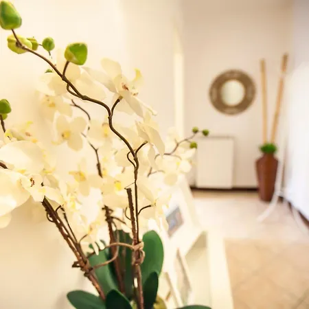 Apartment Lakeside Como